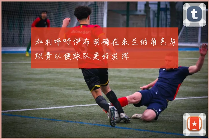 加利呼吁伊布明确在米兰的角色与职责以便球队更好发挥