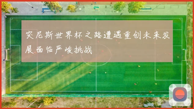 突尼斯世界杯之路遭遇重创未来发展面临严峻挑战