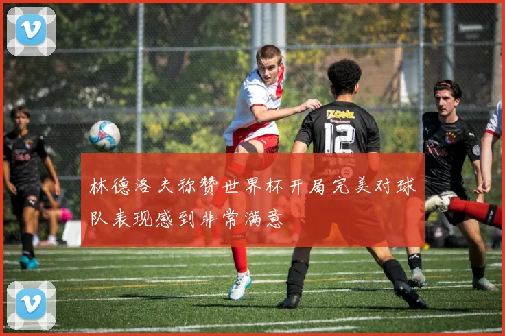 林德洛夫称赞世界杯开局完美对球队表现感到非常满意