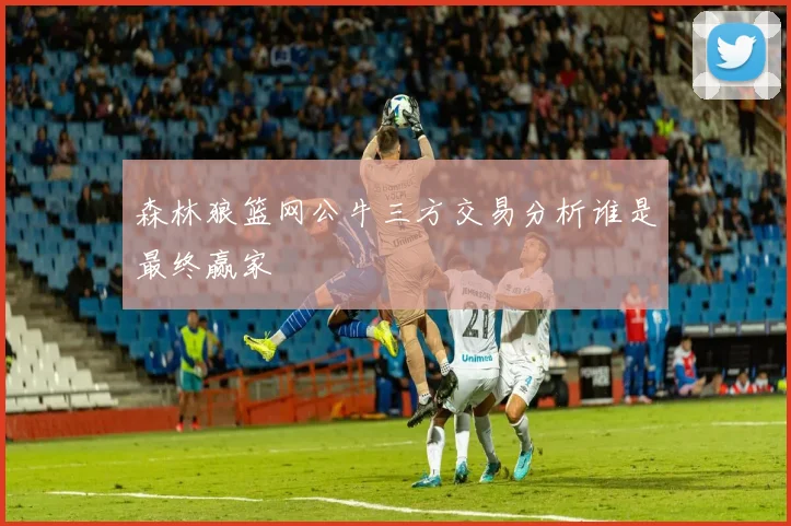 森林狼篮网公牛三方交易分析谁是最终赢家